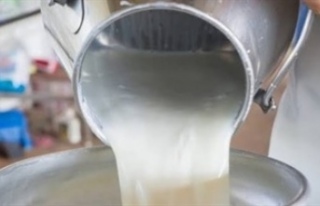 Süt üreticilerine 25 kuruşluk ek destek verildi