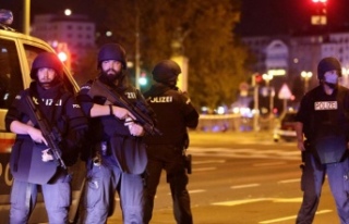 Avusturya'da terör saldırısı