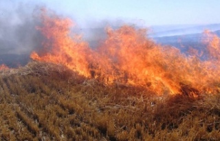 İncirli köyünde arazi yangını