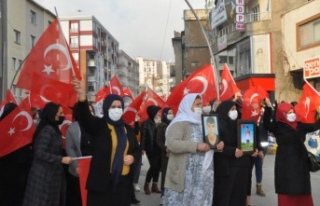 HDP’liler acılı annelere taş fırlattı