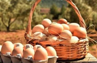 Köyce organik çiftliği’ne organik yumurta pazarlma...
