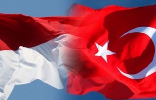 Türkiye ile Endonezya işbirliklerini daha da artırıyor