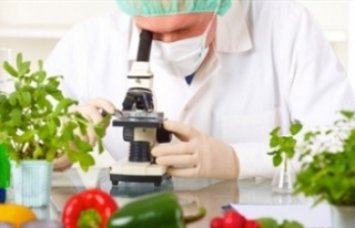 Tüm gıdaların pestist analizleri temiz çıktı