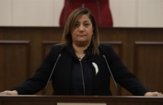 Manavoğlu hükümeti eleştirdi