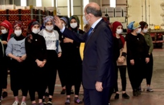 Cumhurbaşkanı Tatar Cypfruvex’i ziyaret etti