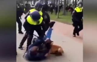 Hollanda'da polis şiddeti