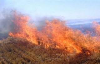 Lefkoşa'nın kuzeyinde yangın