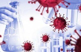 Bilim insanları açıkladı: Koronavirüs 20 bin...