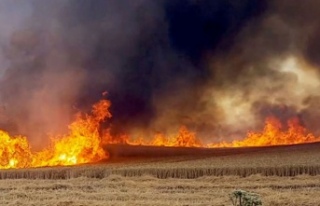 Yeşilyurt'ta arazi yangını