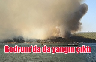 Bodrum'da da yangın çıktı