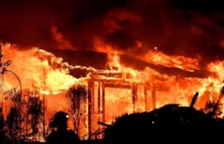 Kaliforniya'da orman yangınları evleri küle...