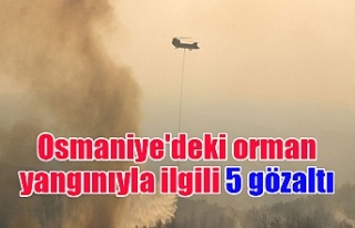 Osmaniye'deki orman yangınıyla ilgili 5 gözaltı