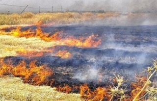 Yılmazköy'de arazi yangını