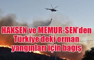 HAKSEN ve MEMUR-SEN’den Türkiye’deki orman yangınları...