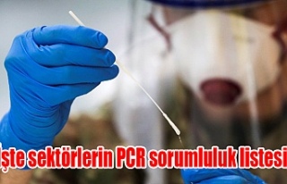 İşte sektörlerin PCR sorumluluk listesi