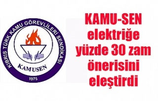 KAMU-SEN elektriğe yüzde 30 zam önerisini eleştirdi