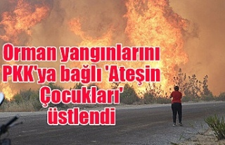 Orman yangınlarını PKK'ya bağlı 'Ateşin...