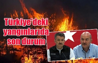 Türkiye'deki yangınlarında son durum
