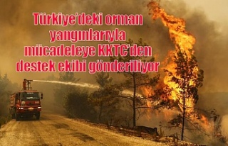 Türkiye’deki orman yangınlarıyla mücadeleye...