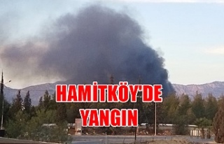 Hamitköy'de yangın
