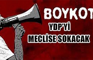 Boykot YDP’yi meclise sokacak