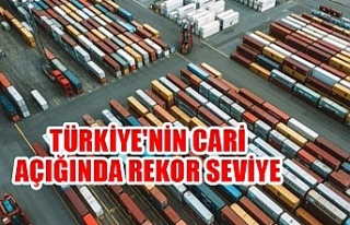 Türkiye'nin cari açığında rekor seviye
