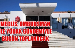 Meclis, Ombudsman ile YÖDAK gündemiyle bugün toplanacak