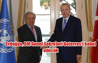 Erdoğan, BM Genel Sekreteri Guterres'i kabul...