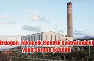 Erdoğan, Teknecik Elektrik Santralindeki yakıt sorunu...