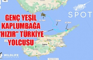 Genç yeşil kaplumbağa "Hızır" Türkiye...