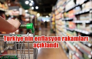 Türkiye'nin enflasyon rakamları açıklandı