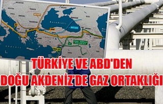 Türkiye ve ABD'den Doğu Akdeniz’de gaz ortaklığı