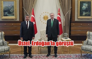 Üstel, Erdoğan'la görüştü