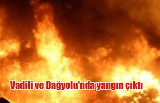 Vadili ve Dağyolu'nda yangın çıktı