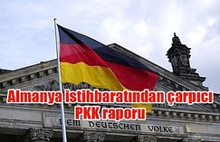 Almanya istihbaratından çarpıcı PKK raporu
