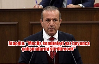 Ataoğlu: "Meclis komiteleri yaz boyunca çalışmalarını...