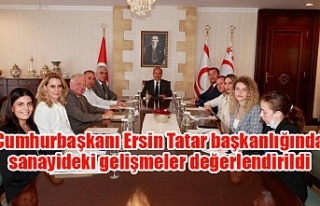 Cumhurbaşkanı Ersin Tatar başkanlığında sanayideki...