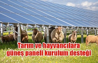 Tarım ve hayvancılara güneş paneli kurulum desteği