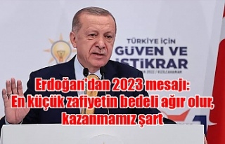 Erdoğan'dan 2023 mesajı: En küçük zafiyetin...