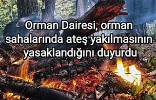Orman Dairesi, orman sahalarında ateş yakılmasının...