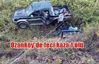 Ozanköy'de feci kaza 1 ölü