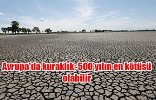 Avrupa'da kuraklık: 500 yılın en kötüsü...