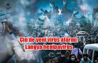 Çin’de yeni virüs alarmı: Langya henipavirus