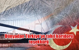 Dünyadan Türkiye'ye tahıl koridoru teşekkürü
