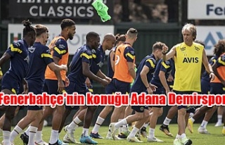 Fenerbahçe'nin konuğu Adana Demirspor