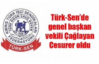 Türk-Sen’de genel başkan vekili Çağlayan Cesurer...