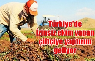 Türkiye'de İzinsiz ekim yapan çiftçiye yaptırım...