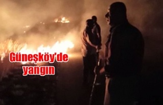 Güneşköy'de yangın