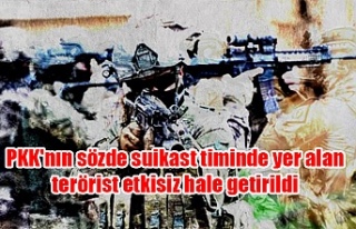 PKK'nın sözde suikast timinde yer alan terörist...