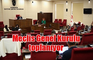 Meclis Genel Kurulu toplanacak